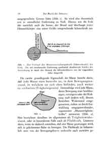Das Problem der Befahrung des Weltraums - der Raketenmotor von Hermann Noordung - Seite 10