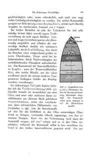 Das Problem der Befahrung des Weltraums - der Raketenmotor von Hermann Noordung - Seite 61