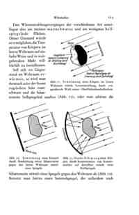 Das Problem der Befahrung des Weltraums - der Raketenmotor von Hermann Noordung - Seite 123