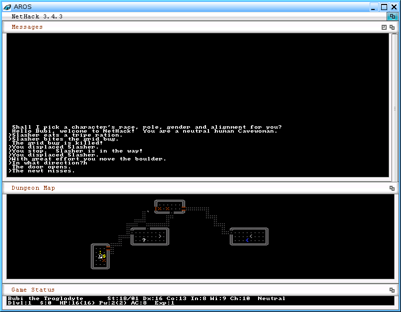 Screenshot NetHack on AROS hosted on Linux